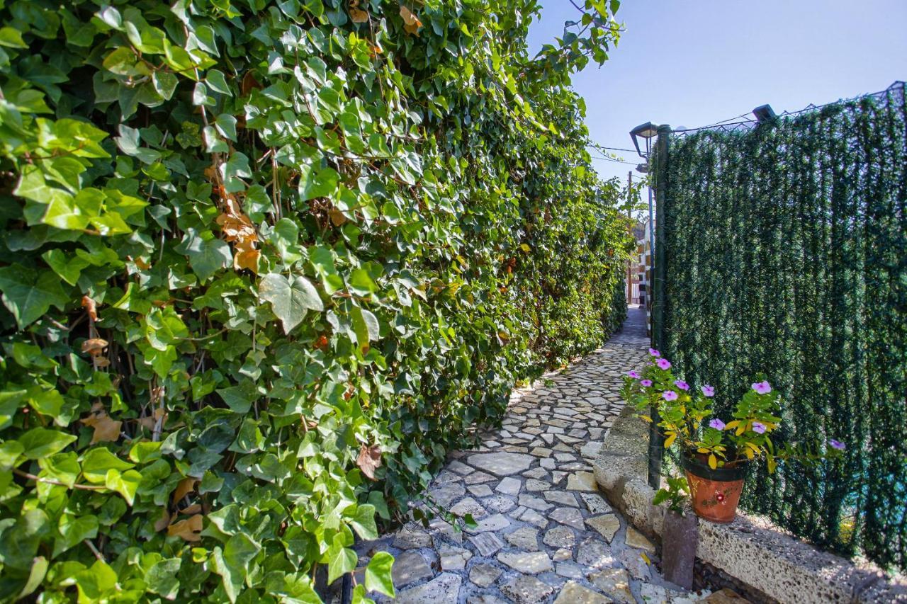 Romantic Hamlet Cottage With Private Pool La Fragua De Eliseo Candelaria Eksteriør billede